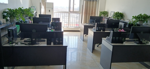 霖森信息咨询服务 开启专业信息咨询新篇章